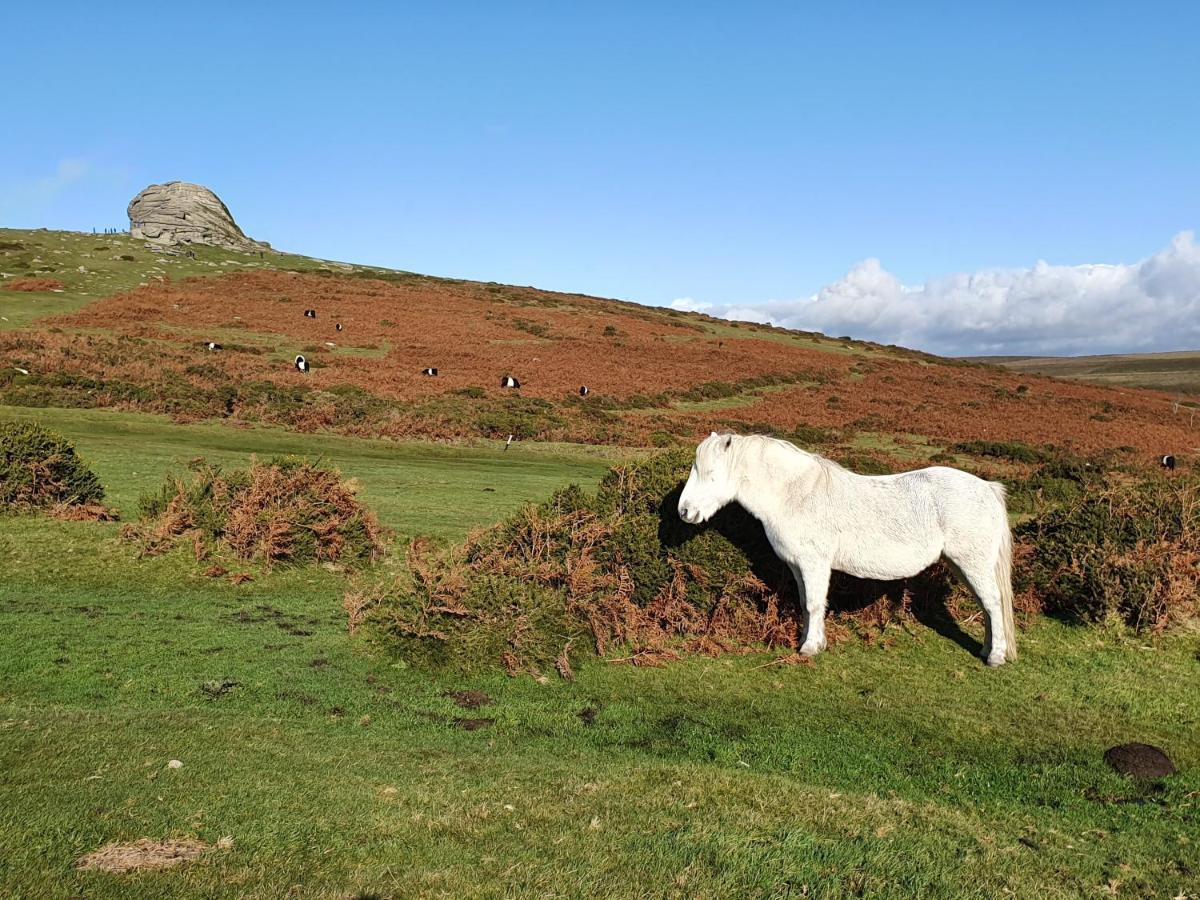 The Stable - The Cottages At Blackadon Farm Ivybridge Esterno foto